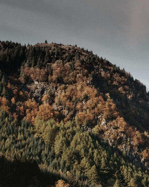Mountain with autumn foliage over a lake