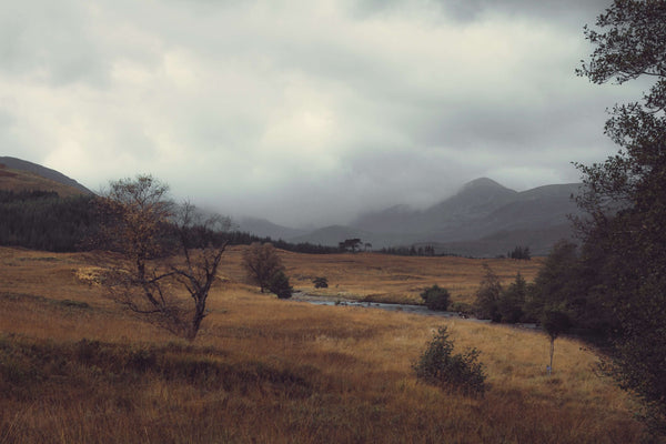Misty Scottish Hills